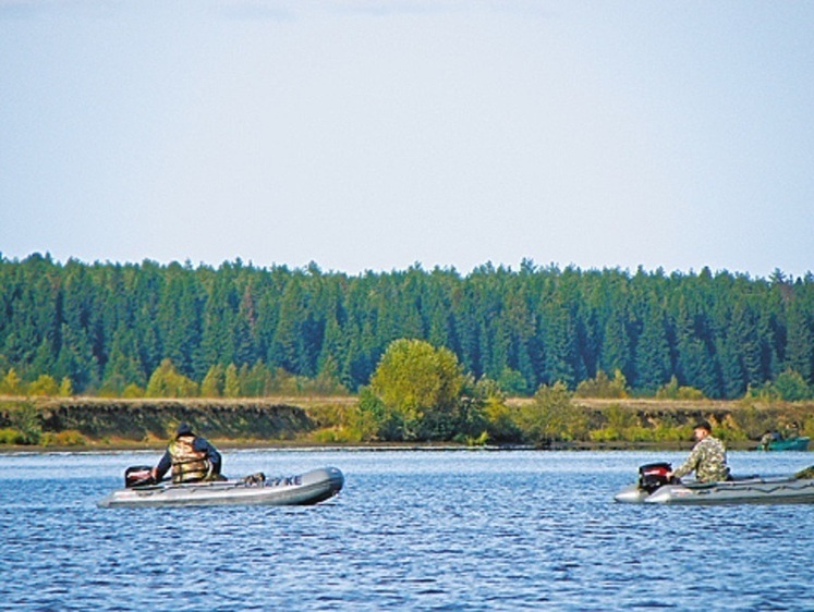 Требую запретить квок!
