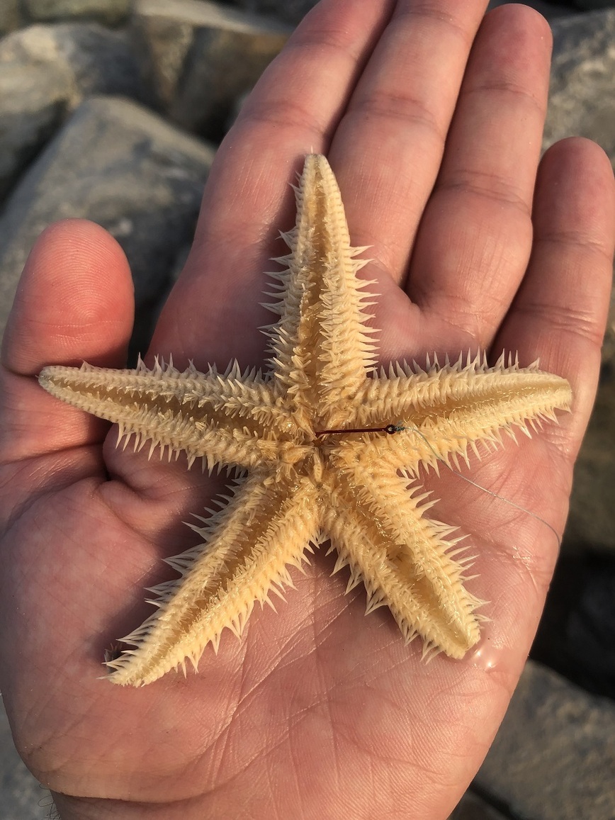 Изображение Фото: Рыбакова Андрея.