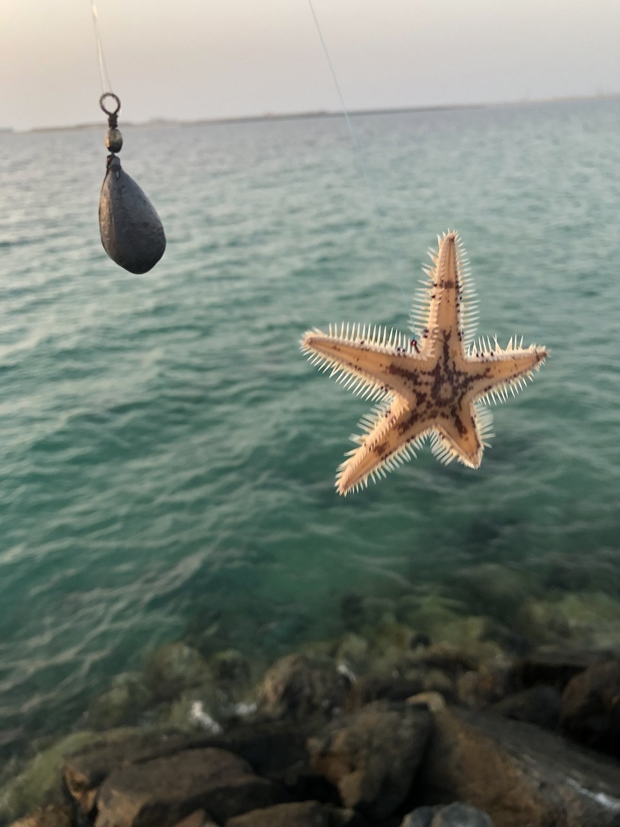 Изображение Фото: Рыбакова Андрея.