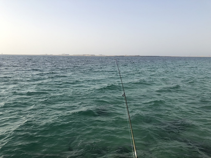 Изображение Фото: Рыбакова Андрея.