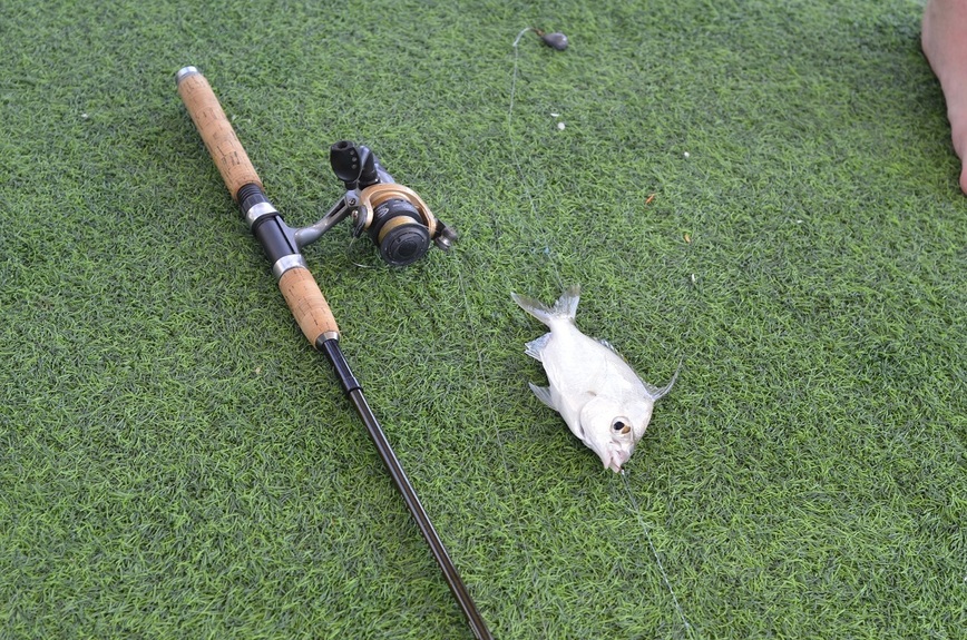 Изображение Фото: Рыбакова Андрея.