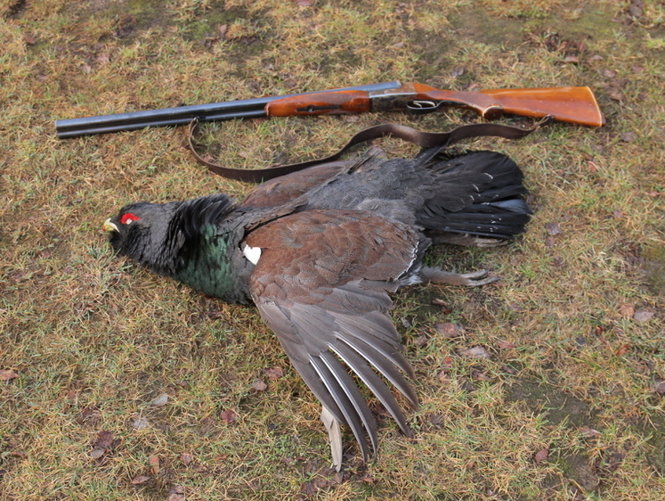 Что мы знаем о культуре охоты? От подранка до бытового мусора