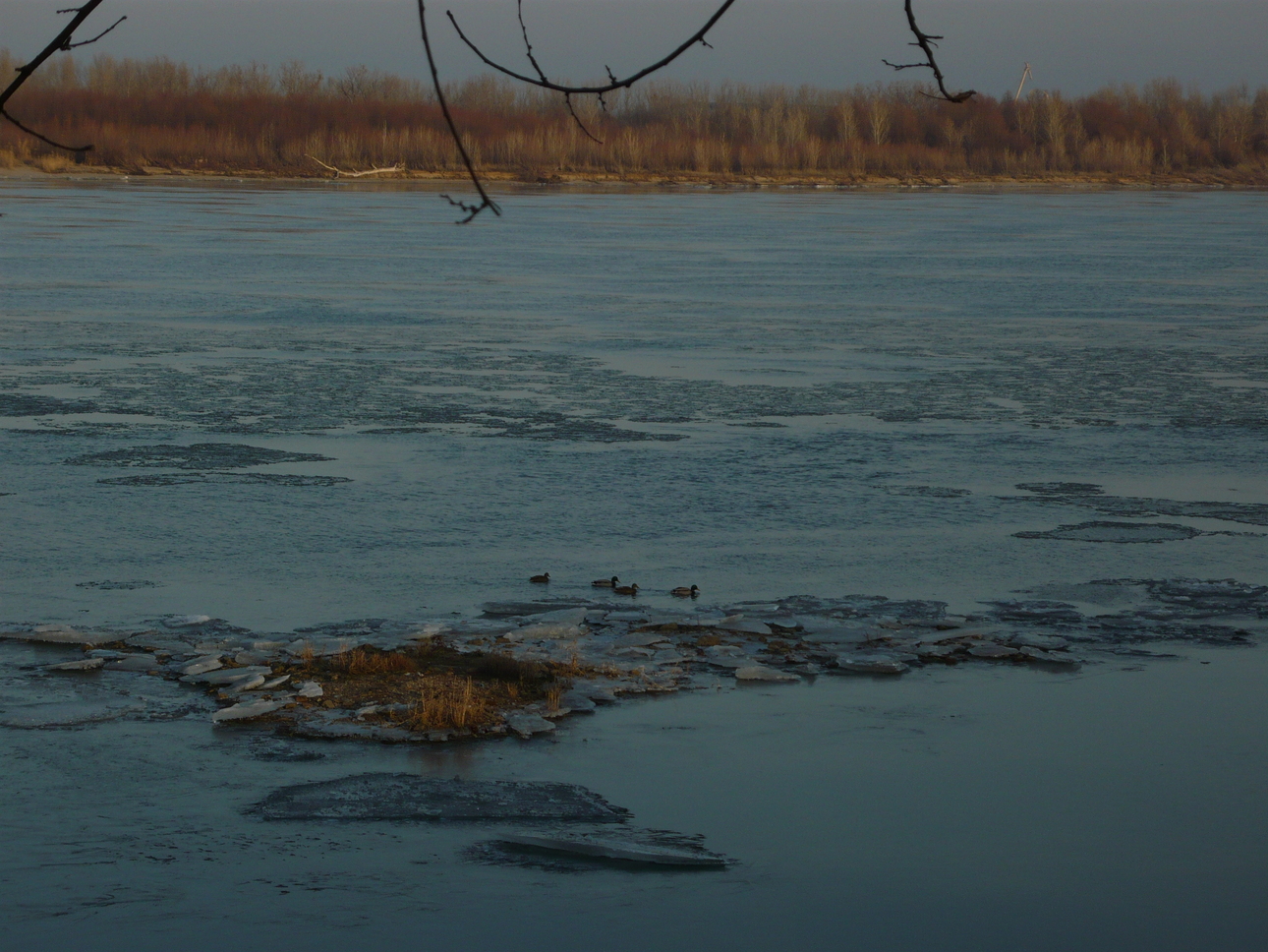 Изображение Фото автора 