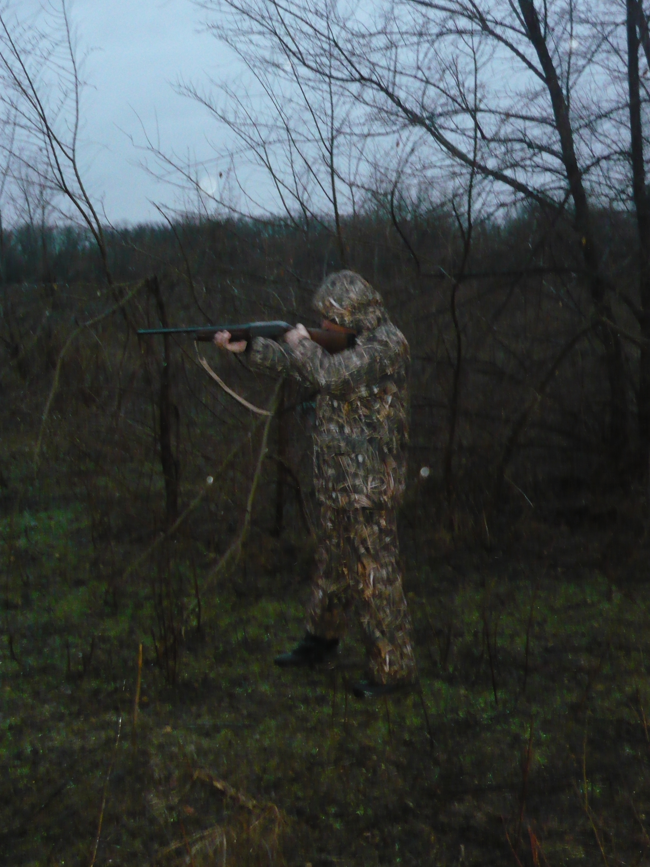 Изображение Фото автора 