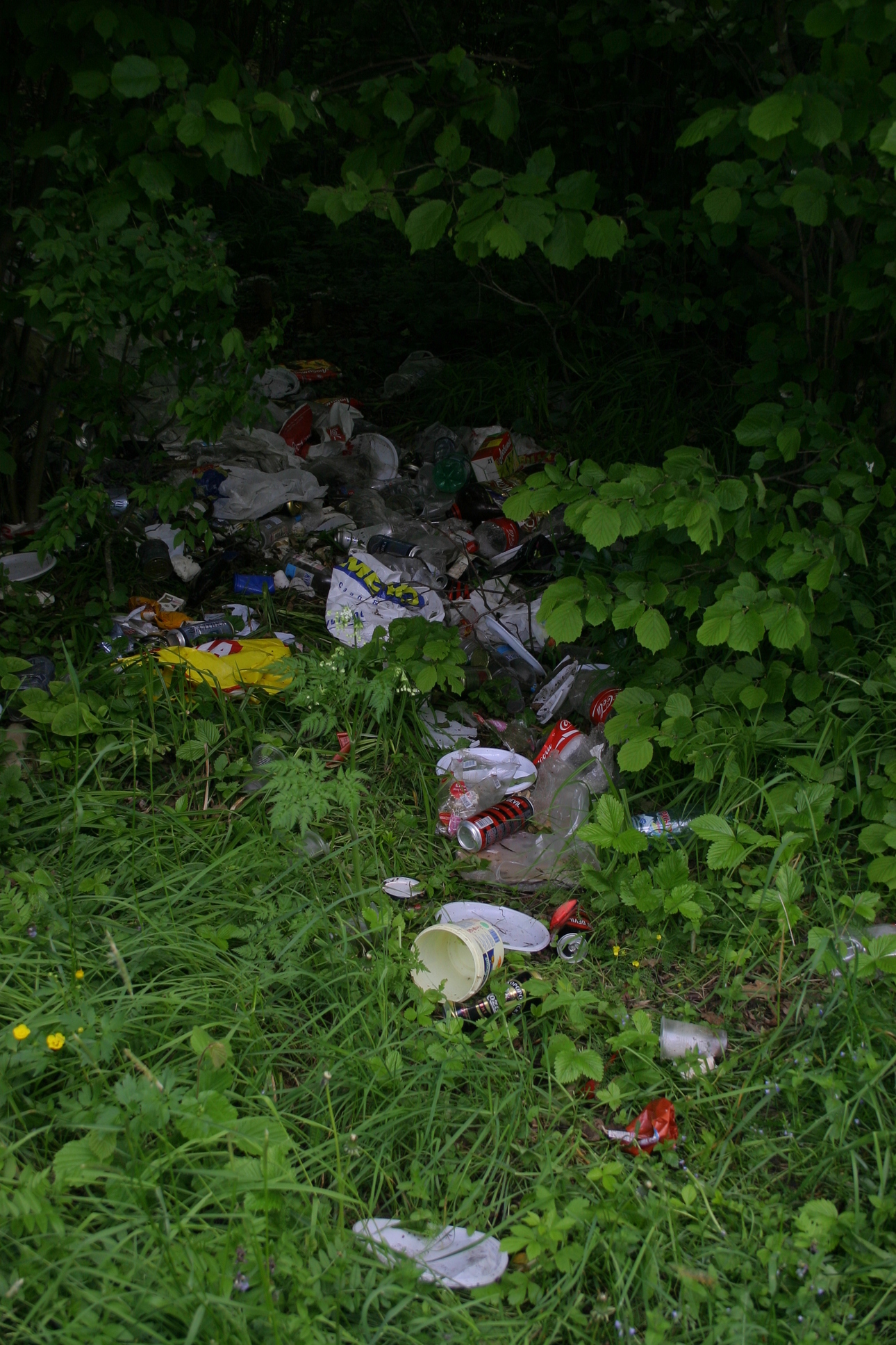 Изображение Фото авторв
 