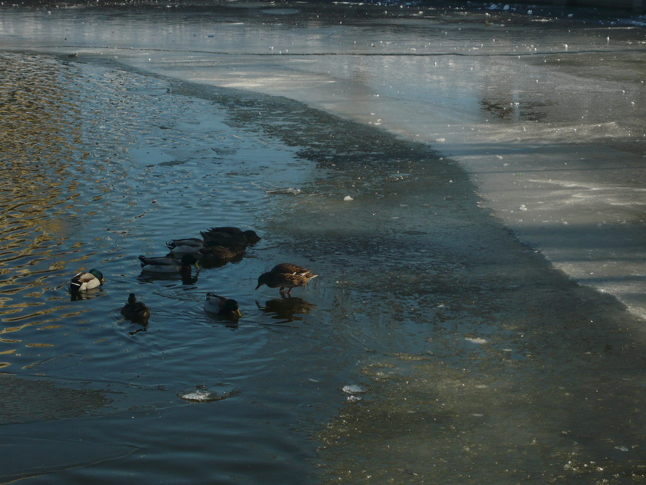 Изображение Фото автора 
