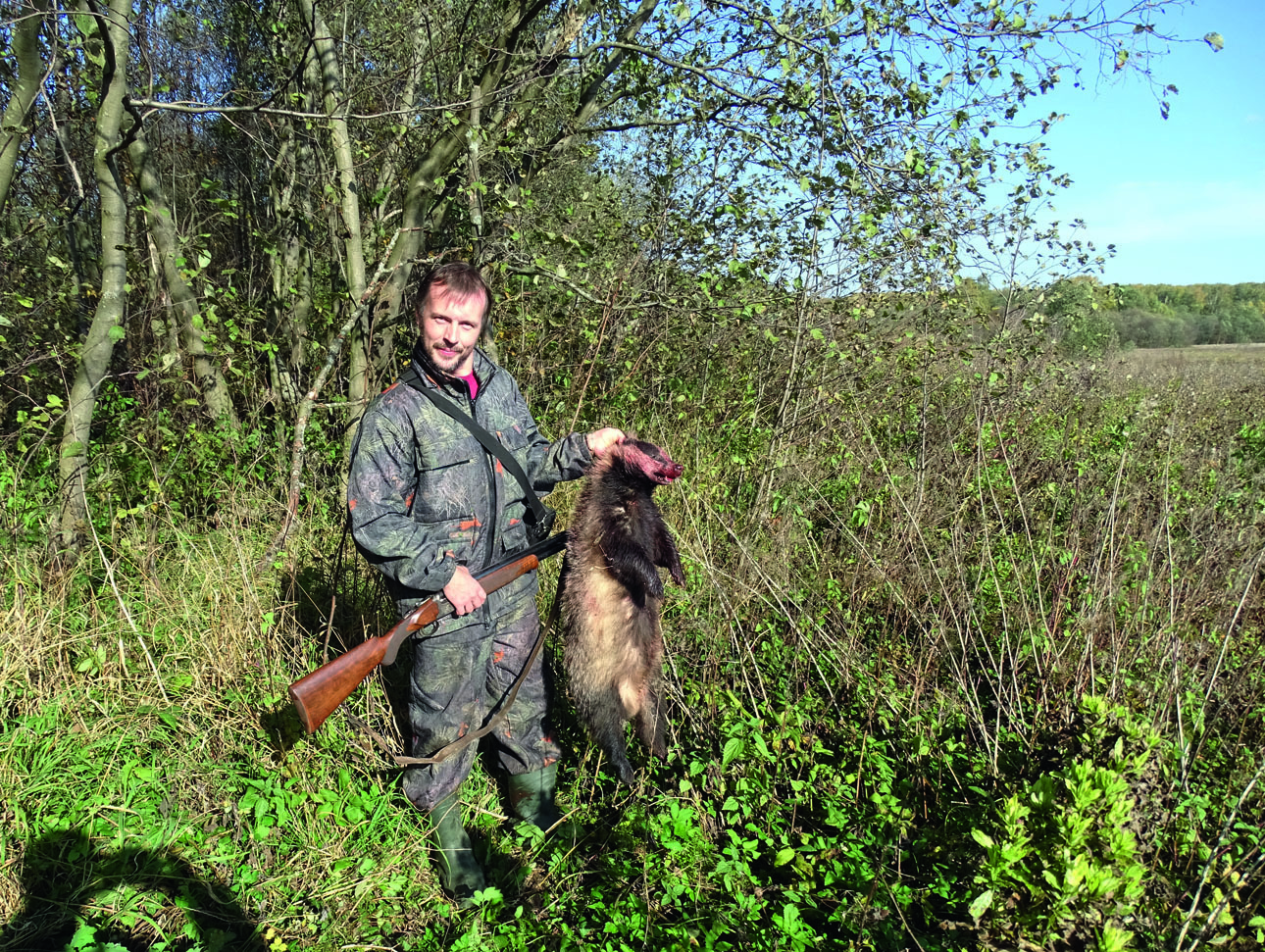 Изображение Барсук — наиболее опасный противник для ягдтерьера, тем завиднее трофей. ФОТО СВЕТЛАНЫ БУРКОВСКОЙ