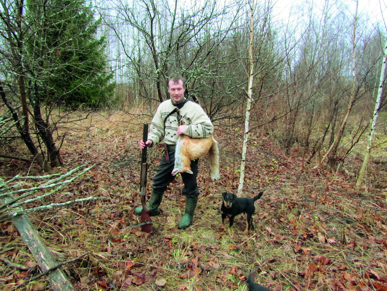 Изображение Лиса для ягдтерьера — несерьезный соперник. ФОТО СВЕТЛАНЫ БУРКОВСКОЙ