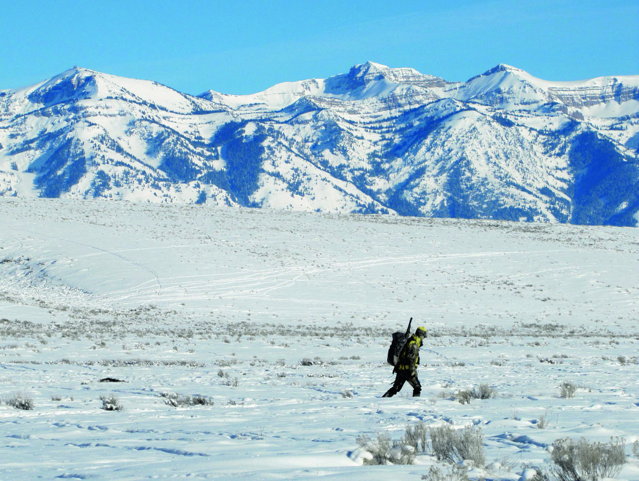 Изображение Поздняя осень и начало зимы — самое продуктивное время охоты на копытных. ФОТО USFWS MOUNTAIN-PRAIRIE/FLICKR.COM (CC BY 2.0) 