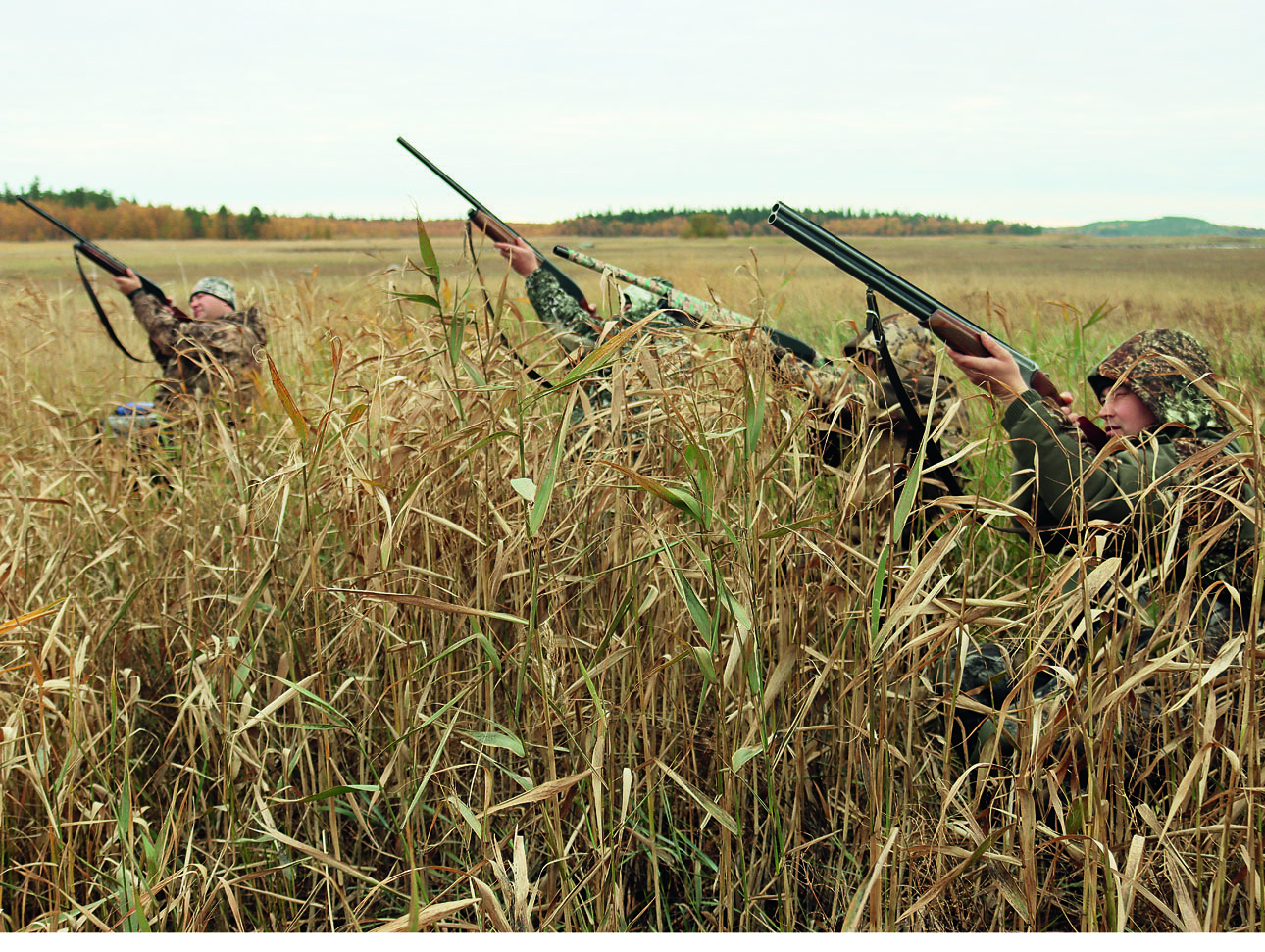 Изображение Момент редкого налета. Промахнуться нельзя.  Фото: Василий ДМИТРИЕВ 