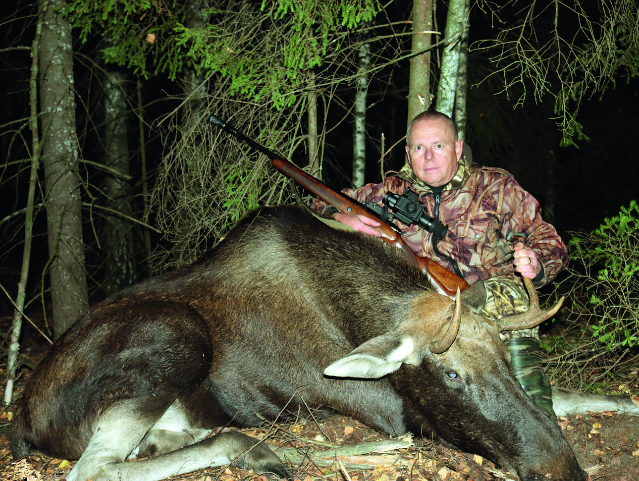 Изображение Огромный рогач как трофей хорош, но вкуснее бычок помоложе.
 Фото: Дмитрий ВАСИЛЬЕВ 