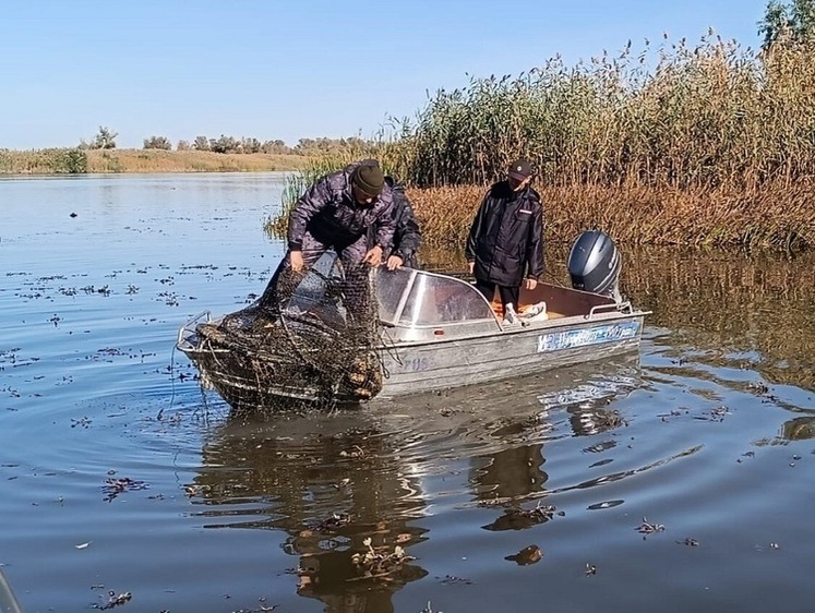На волю выпустили 1309 раков и подняли полкилометра сетей