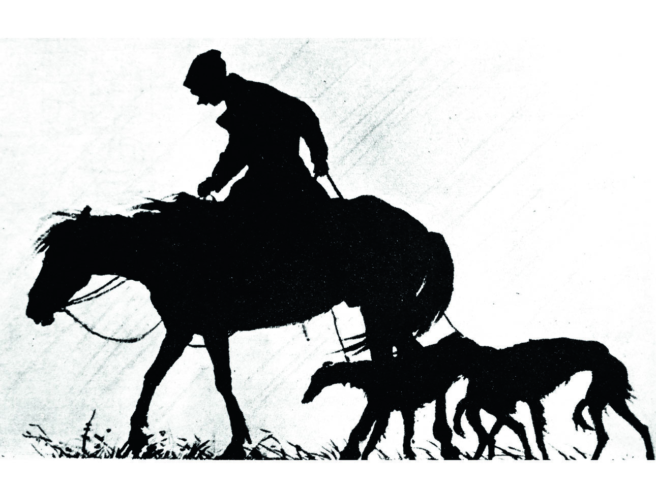 Изображение фото Алексей Шульгин 