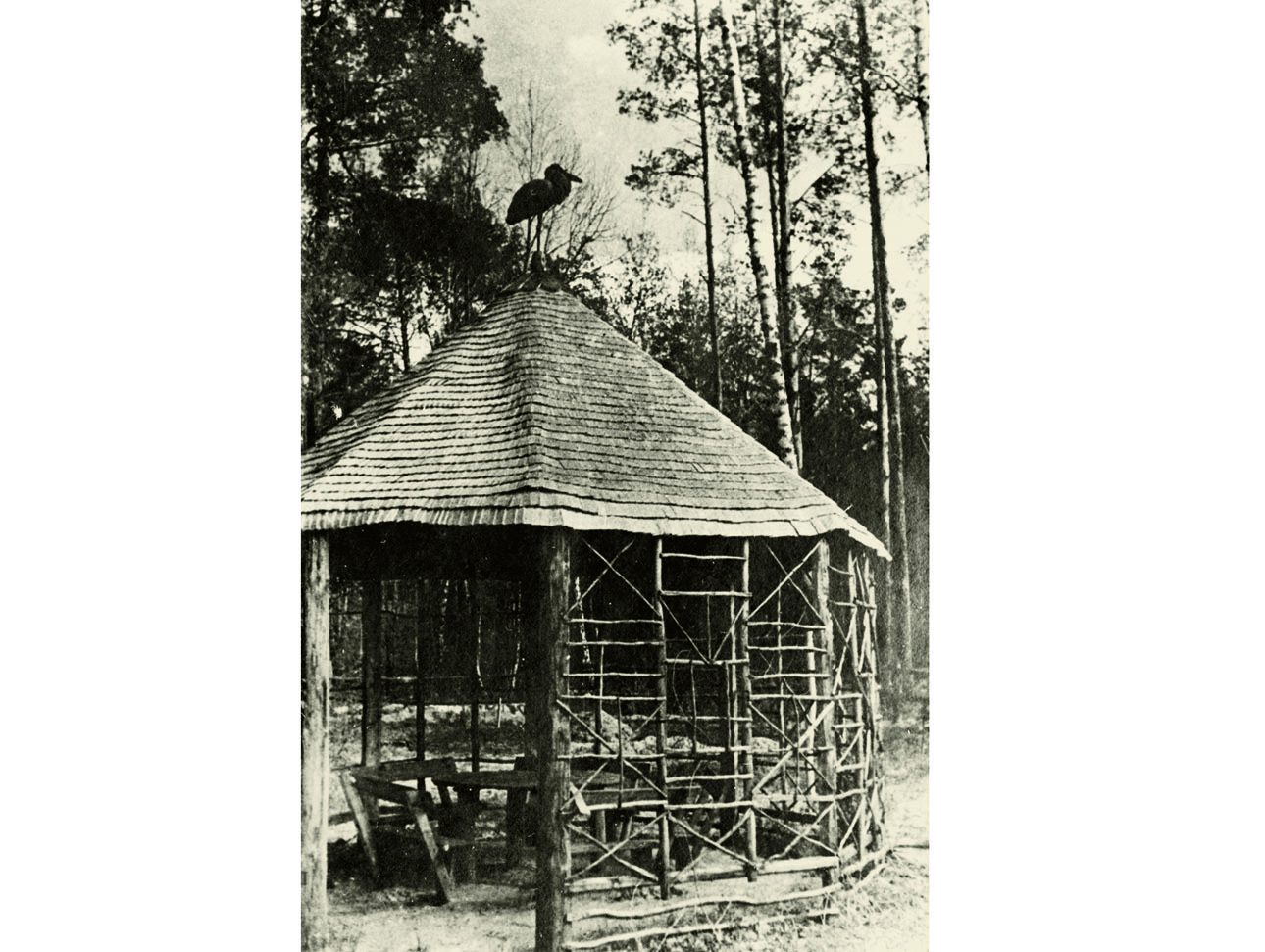 Изображение фото Алексей Шульгин 