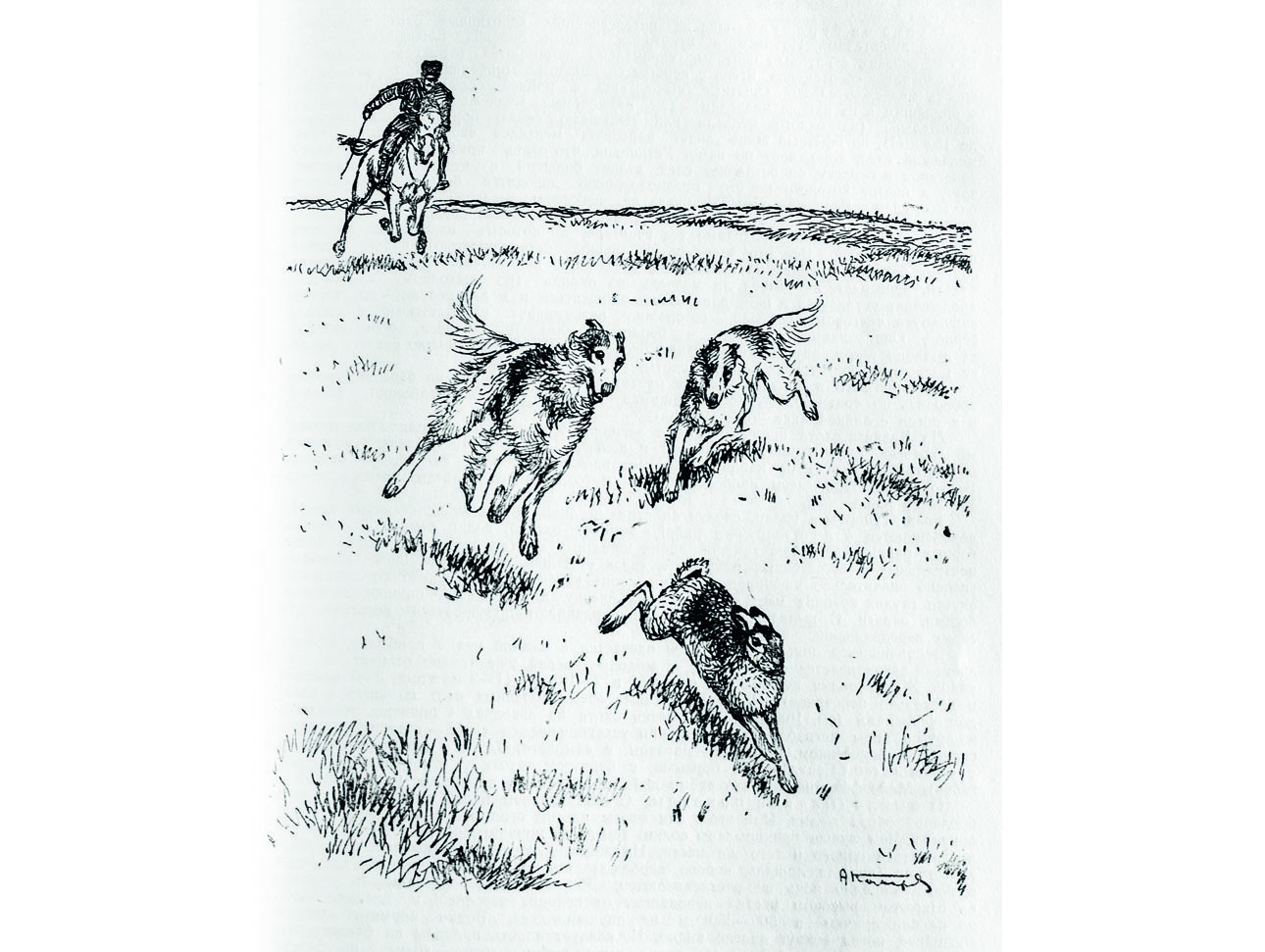 Изображение фото Алексей Шульгин 