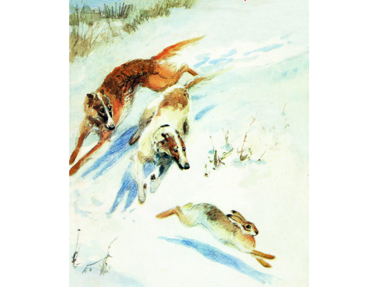 Изображение фото Алексей Шульгин 