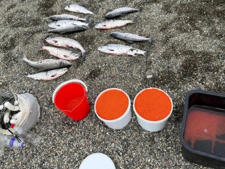 В Анадыре будут судить местного заготовителя красной икры