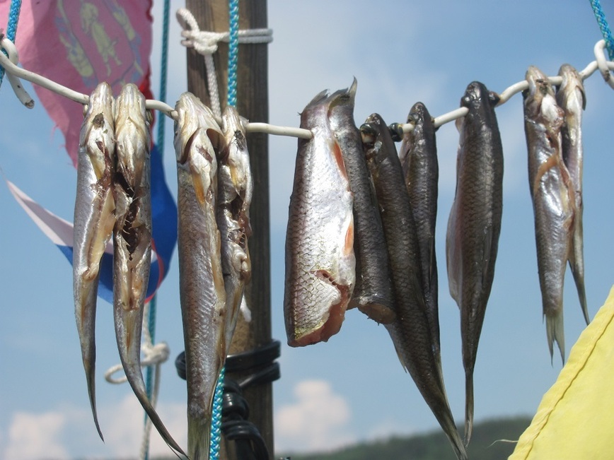 Изображение Фото: Супруненко Владимира.