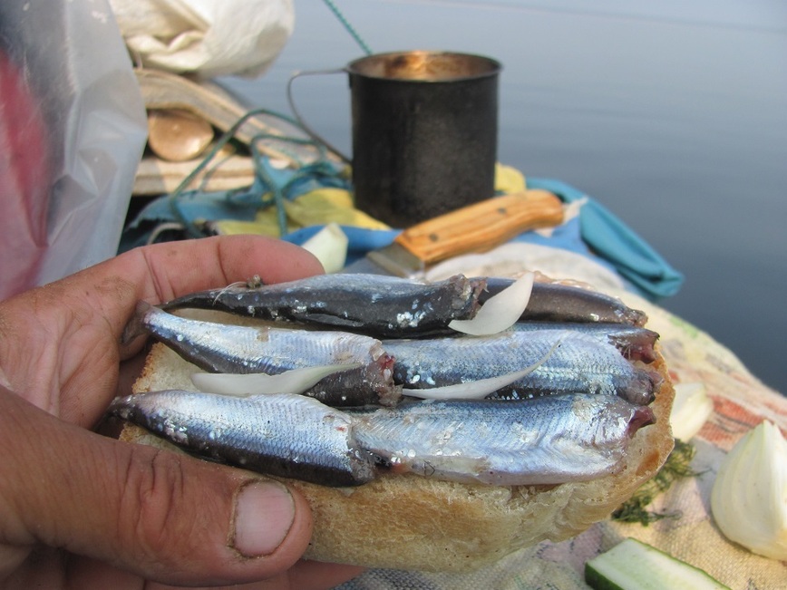 Изображение Фото: Супруненко Владимира.