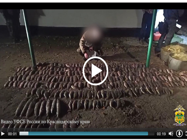 На берегу лимана задержаны браконьеры с сетями и уловом