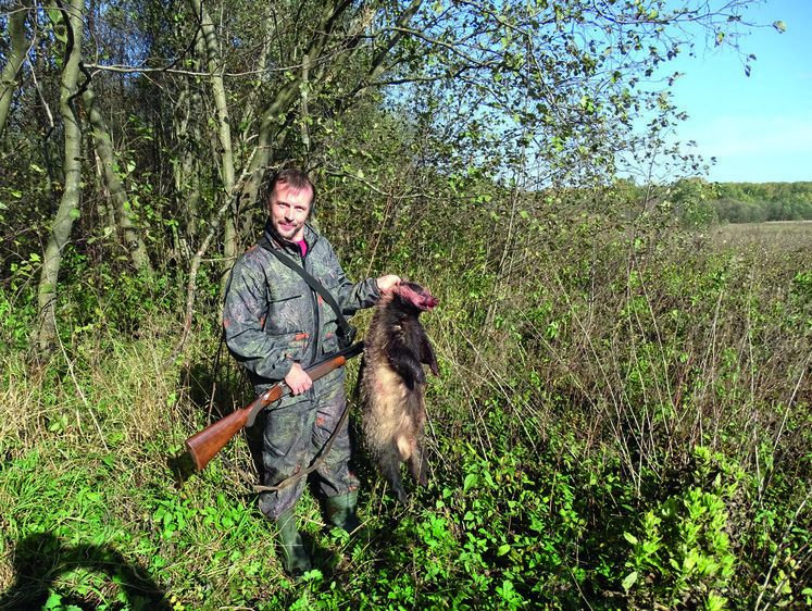 Кровавый охотничий вторник: «Барсук забухал и собаке горло вырвал»