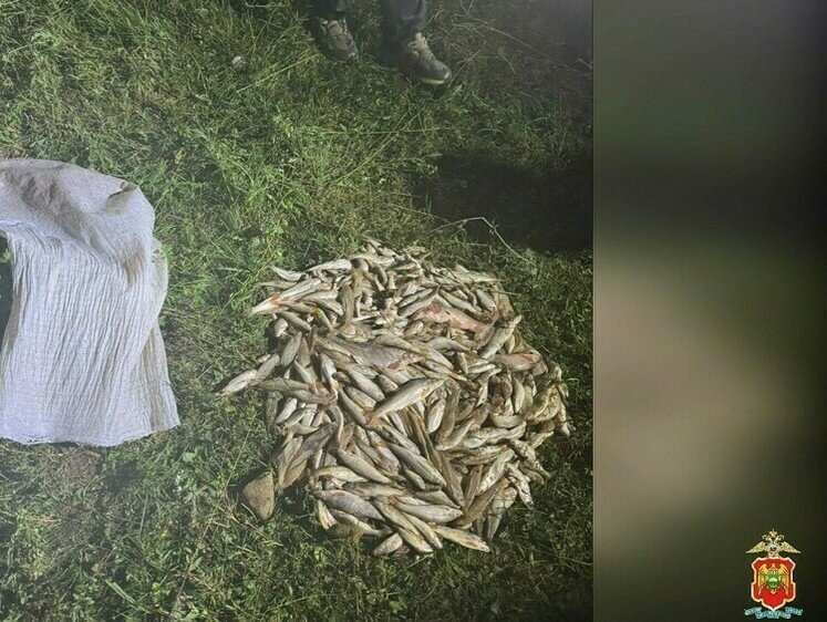 Участковые полиции поймали троих электроудочников с уловом