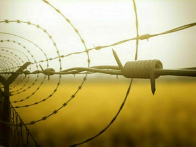 Инспектор рыбоохраны набрал взяток на 10 лет колонии строгого режима