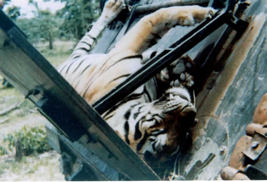 Изображение Фото с места событий: africahunting.com 