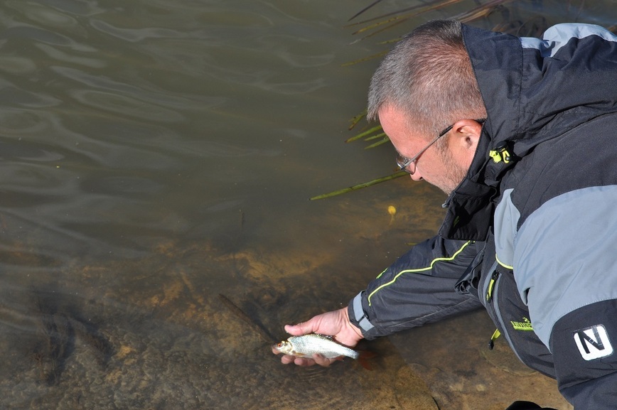 Изображение Фото: Линника Николая. 