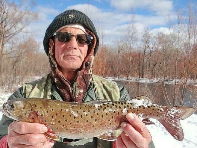 Рыболовные вести с Амура