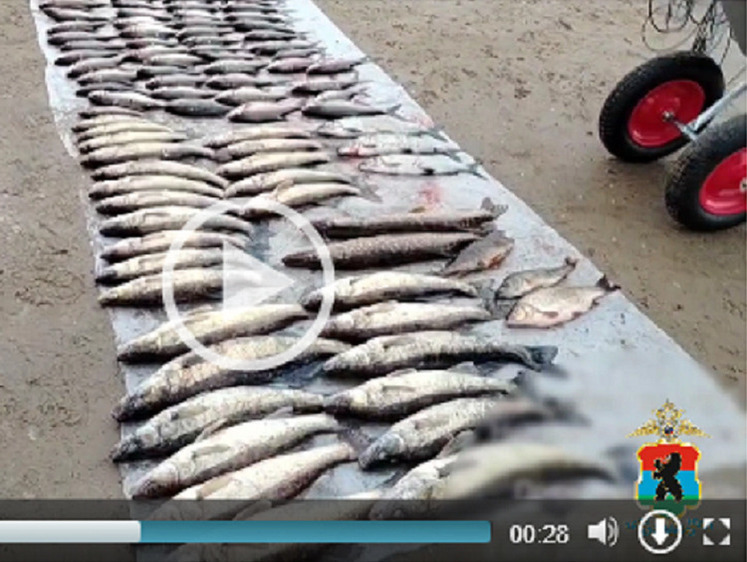 Браконьеру удалось удивить жену уловом