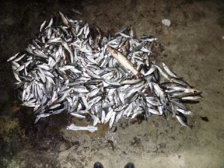 Изображение Фото: МВД РФ. 