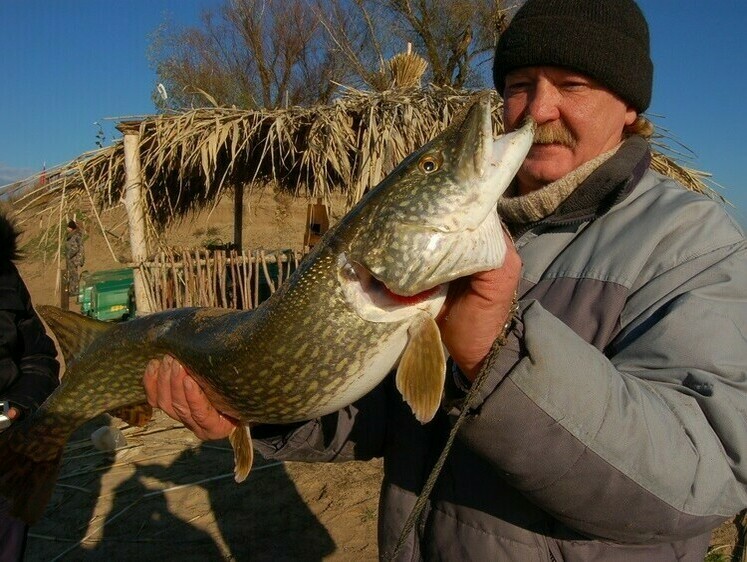 Ноябрьские рыболовные вести с водоемов