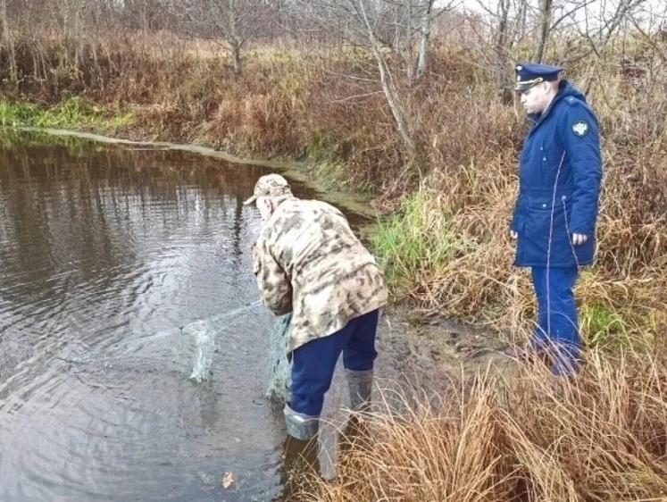 На территории Владимирского заказника нашли рыболовную сеть