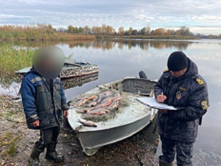 Саратовская рыбоохрана изъяла 1800 м сетей и 18 транспортных средств