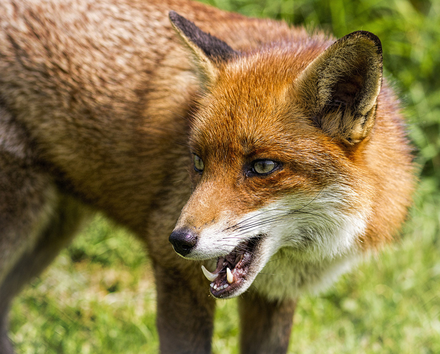 Изображение Фото: 1zoom.ru/alexfas01 