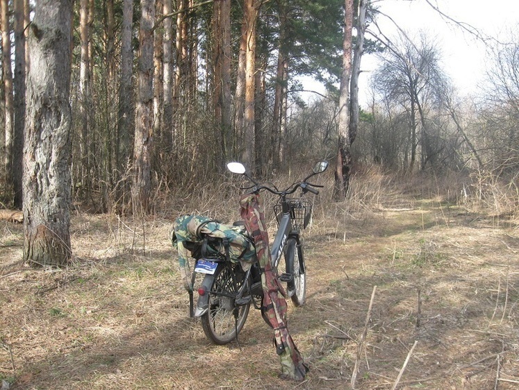 В золотые дни и лунные ночи