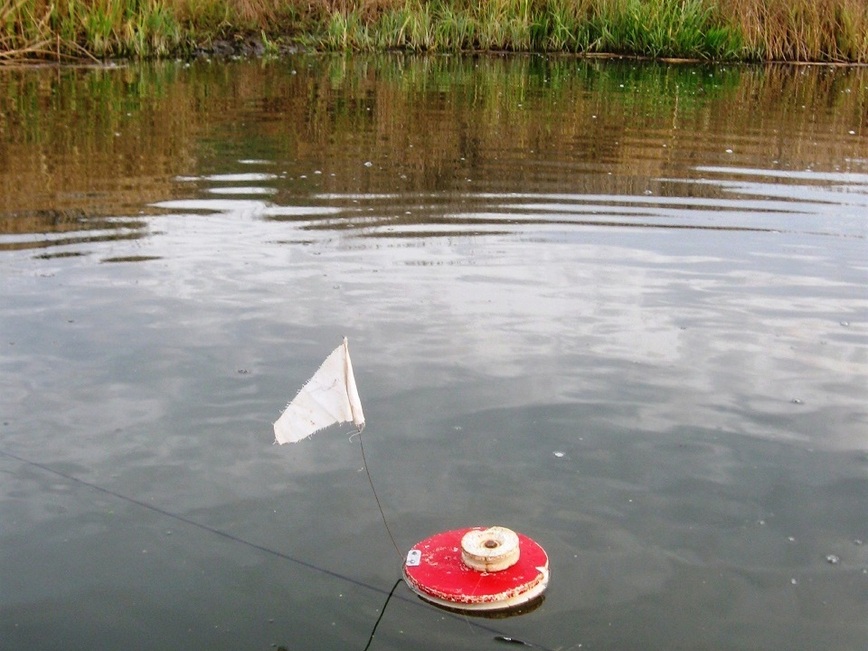 Изображение Фото автора. 