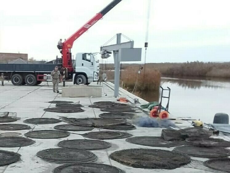 Траление ерика принесло 8 сетей, 45 вентерей и улов густерок