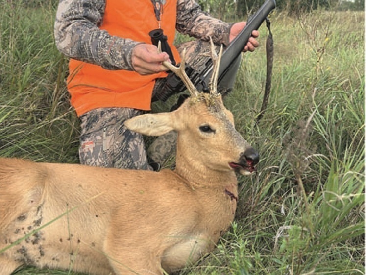 Миг удачи. На наше пожелание выманить зверя егерь только махнул рукой