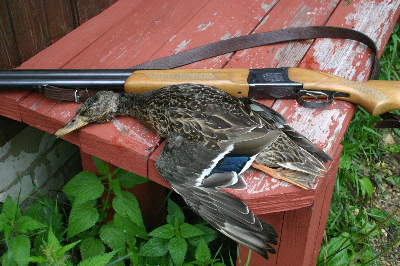 Изображение Фото автора 