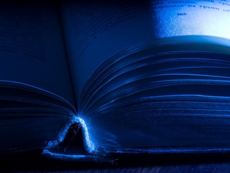 Стратегия сохранения и использования биоразнообразия РФ до 2036 года