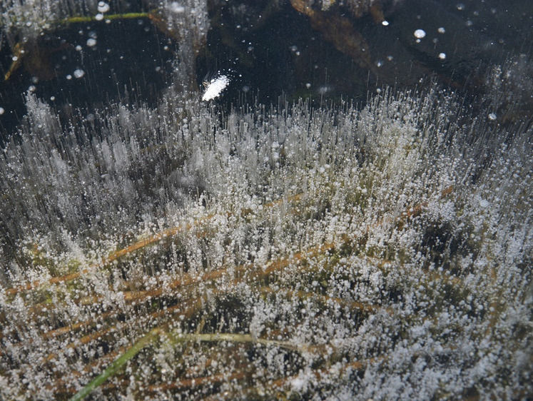 Борьба с природой и погодой