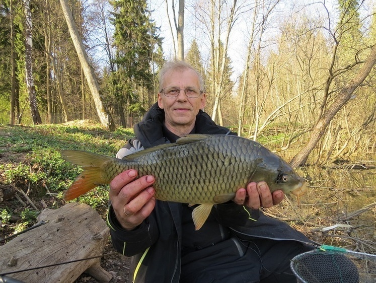 Ловля на прудах перед ледоставом