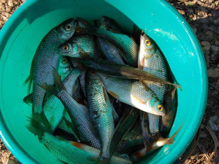 Изображение Фото: Яншевского Андрея.