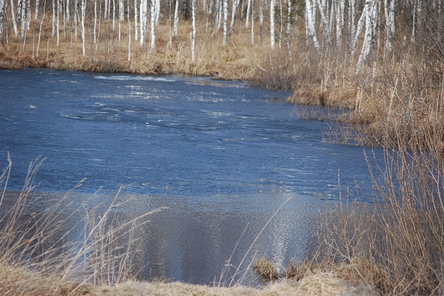 Изображение Фото: Яншевского Андрея.