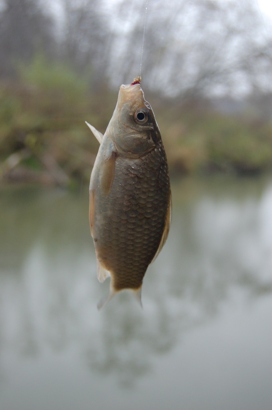 Изображение Фото: Яншевского Андрея.