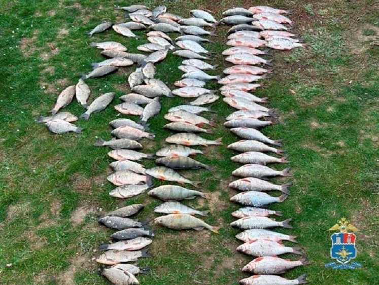 На Маныче задержали местного браконьера с сетями и сотней рыб