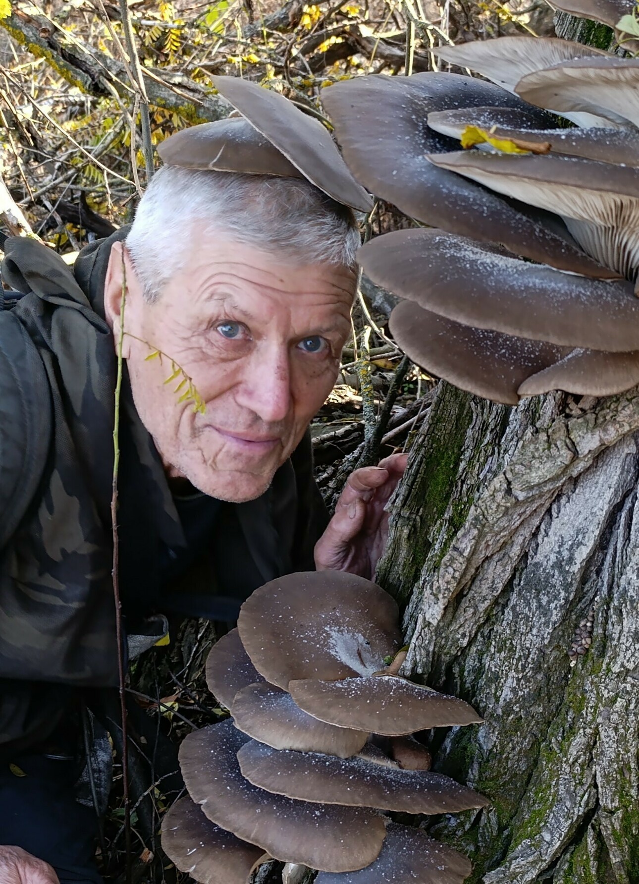 Изображение Фото автора 