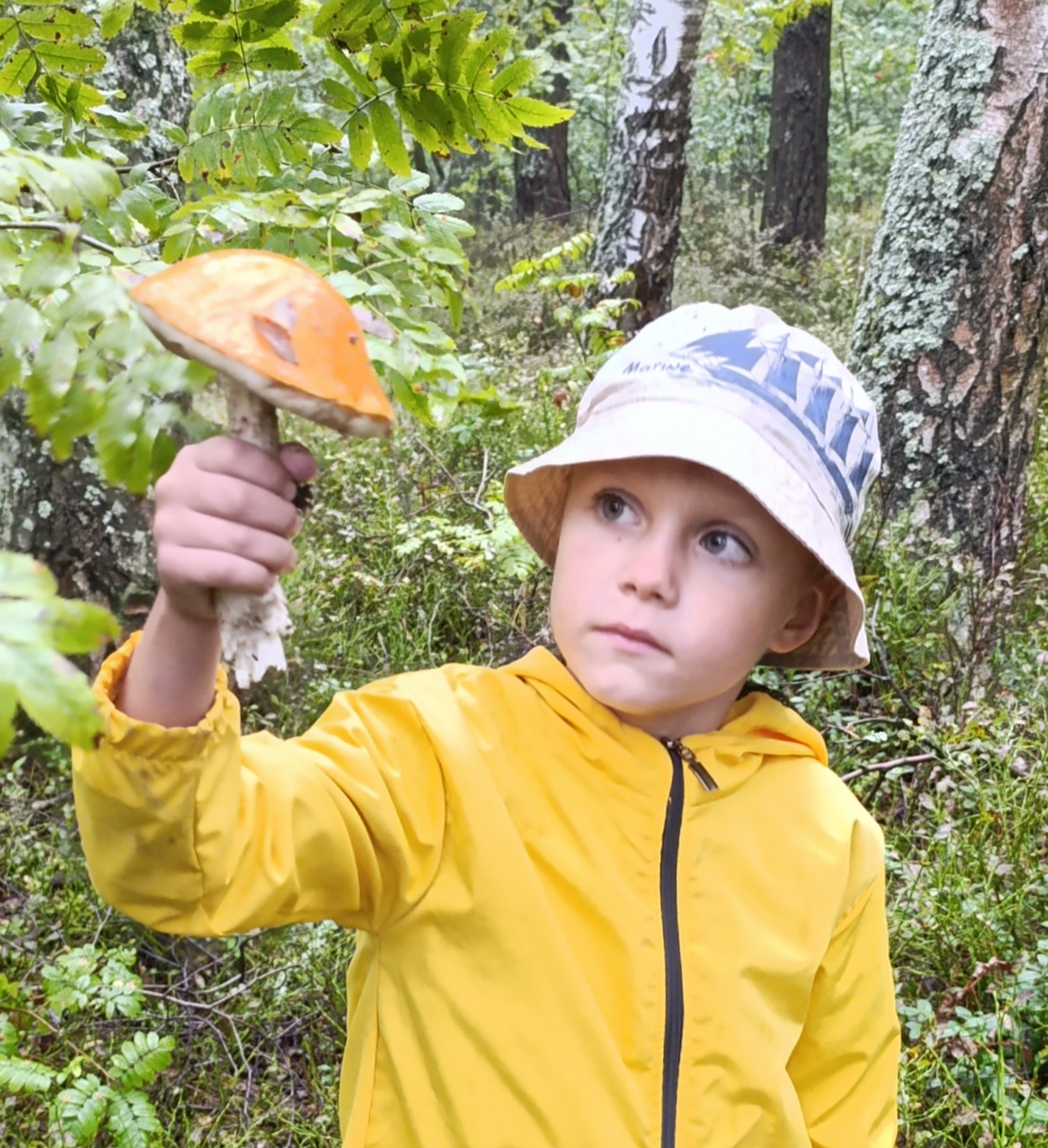 Изображение Фото автора 